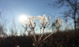 上古世纪怎么种植最划算？老玩家教你种地！