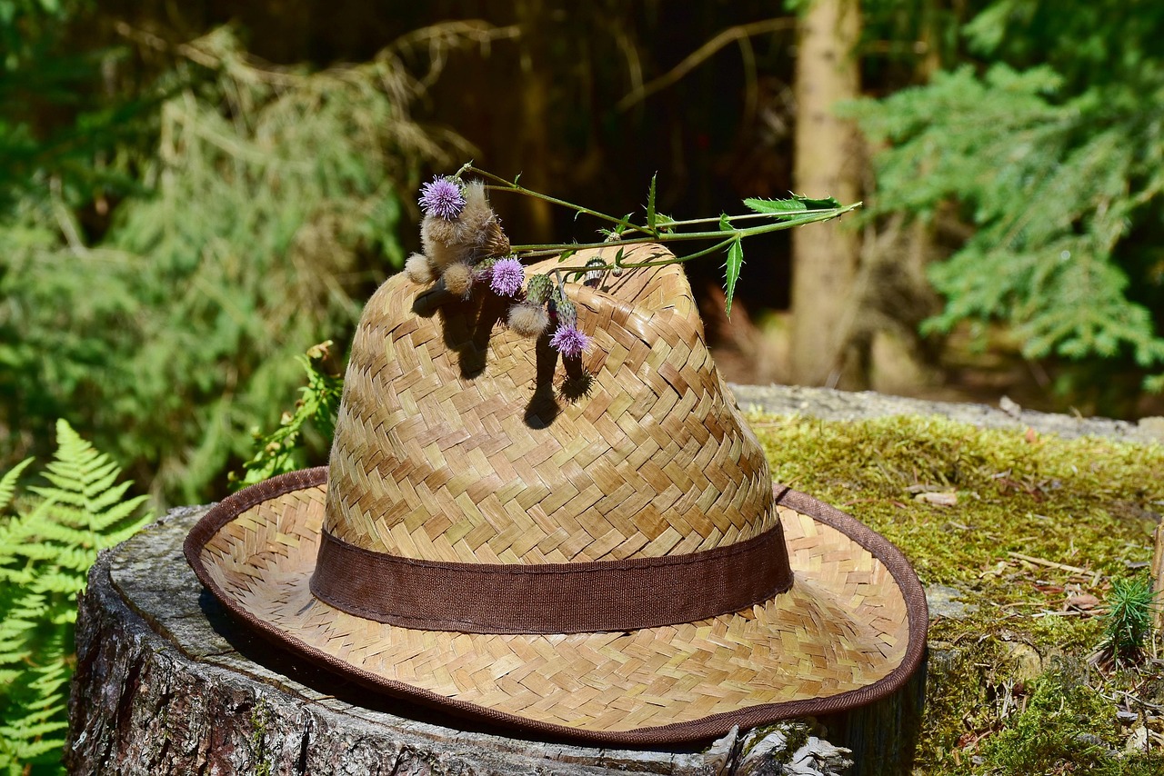 怎么种植大麻？老手教你种植大麻的秘诀！